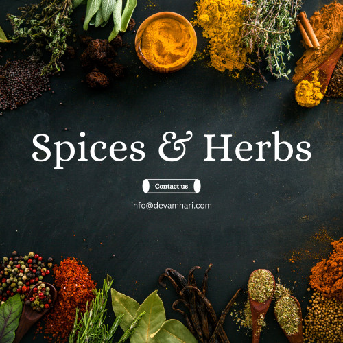 All Type of  Spices & Herbs