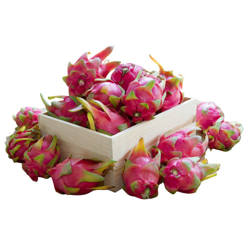 Dragon fruit